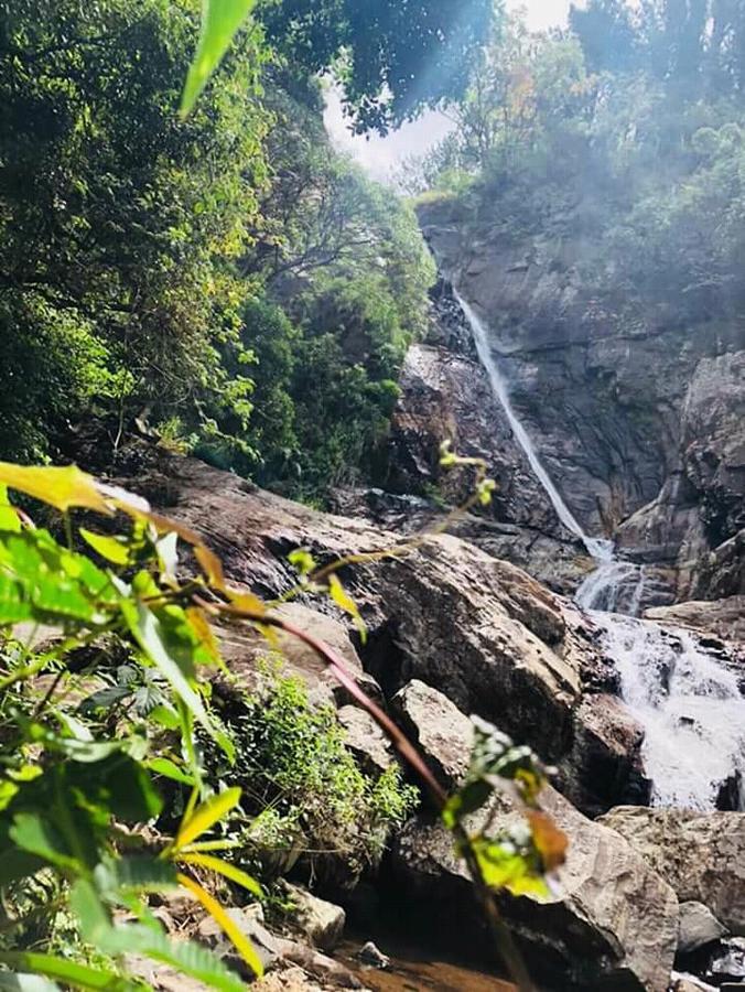 The Misty Mountain Guest House Haldummulla Luaran gambar